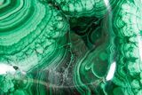 Flowery Polished Malachite Specimen - DR Congo #360810-1